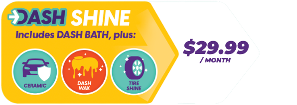 Dash Shine $29.99 / Month